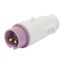 STRAIGHT PLUG - IP44 - 3P 32A 20-25V 50-60HZ - VIOLET - n.r. - SCREW WIRING thumbnail 2