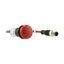 Indicator light, Flat, Cable (black) with M12A plug, 4 pole, 0.5 m, Lens Red, LED Red, 24 V AC/DC thumbnail 17