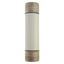 Oil fuse-link, medium voltage, 63 A, AC 3.6 kV, BS2692 F01, 254 x 63.5 mm, back-up, BS, IEC, ESI, with striker thumbnail 15