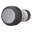 Illuminated pushbutton actuator, Flat, maintained, 1 N/O, Screw connection, LED white, White, Blank, 120 V AC, Bezel: black thumbnail 2