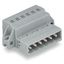 1-conductor male connector CAGE CLAMP® 2.5 mm² gray thumbnail 4