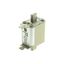 Fuse-link, high speed, 25 A, AC 690 V, DIN 00, 30 x 60 x 79 mm, gR, DIN, IEC, single indicator thumbnail 13