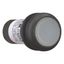 Illuminated pushbutton actuator, Flat, maintained, 1 N/O, Screw connection, LED white, White, Blank, 230 V AC, Bezel: black thumbnail 12