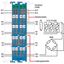 4-channel analog input RTD/TC/Strain Gauge 16 bits blue thumbnail 5