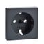 Central plate for SCHUKO socket-outlet insert, anthracite, System M thumbnail 2