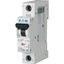 Miniature circuit breaker (MCB), 50 A, 1p, characteristic: C, DC thumbnail 6