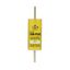 Fuse-link, low voltage, 80 A, AC 600 V, DC 300 V, 29 x 118 mm, J, UL, time-delay, with indicator thumbnail 20