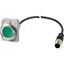 Illuminated pushbutton actuator, Flat, momentary, 1 N/O, Cable (black) with M12A plug, 4 pole, 1 m, LED green, green, Blank, 24 V AC/DC, Metal bezel thumbnail 2