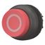 Pushbutton, RMQ-Titan, Extended, momentary, red, inscribed, Bezel: black thumbnail 2