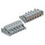 2231-210/037-000 1-conductor female connector; push-button; Push-in CAGE CLAMP® thumbnail 4