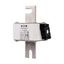 Fuse-link, high speed, 1250 A, AC 690 V, DIN 3, 76 x 92 x 139 mm, aR, DIN, IEC, single indicator thumbnail 7