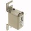 Fuse-link, high speed, 50 A, AC 690 V, DIN 00, 30 x 51 x 100 mm, gR, DIN, IEC, single indicator thumbnail 4