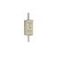 Fuse-link NH0 aM 500VAC 100A live tags Double indicator thumbnail 1