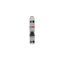 SN201-B20 Miniature circuit breaker - 1+NP - B - 20 A thumbnail 5