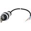 Key-operated actuator, RMQ compact solution, momentary, 2 N/O, Cable (black) with non-terminated end, 4 pole, 1 m, 2 positions, MS1, Bezel: titanium thumbnail 5