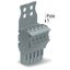 1-conductor female connector Push-in CAGE CLAMP® 4 mm² gray thumbnail 1