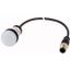 Indicator light, Flat, Cable (black) with M12A plug, 4 pole, 0.5 m, Lens white, LED white, 24 V AC/DC thumbnail 1