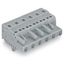 1-conductor female connector CAGE CLAMP® 2.5 mm² gray thumbnail 3