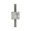 Fuse-link, high speed, 250 A, AC 690 V, compact size 1, 45 x 45 x 148 mm, aR, IEC, UL thumbnail 6