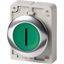 Illuminated pushbutton actuator, RMQ-Titan, Flat, momentary, green, inscribed 1, Metal bezel thumbnail 2