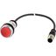 Illuminated pushbutton actuator, classic, flat, maintained, 1 N/C, red, 24 V AC/DC, cable (black) with m12a plug, 4 pole, 0.2 m thumbnail 5