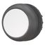 Pushbutton, RMQ-Titan, Flat, momentary, White, Blank, Bezel: black thumbnail 2