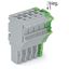 1-conductor female connector Push-in CAGE CLAMP® 4 mm² gray, green-yel thumbnail 3