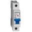 Miniature Circuit Breaker (MCB) AMPARO 10kA, D 32A, 1-pole thumbnail 1