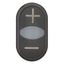 Double actuator pushbutton, RMQ-Titan, Actuators and indicator lights non-flush, momentary, White lens, black, black, inscribed, Bezel: black thumbnail 5