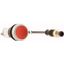 Pushbutton, Flat, momentary, 1 NC, Cable (black) with M12A plug, 4 pole, 0.5 m, red, Blank, Bezel: titanium thumbnail 4