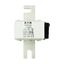 Fuse-link, high speed, 500 A, AC 690 V, DIN 3, 76 x 92 x 139 mm, aR, DIN, IEC, single indicator thumbnail 9