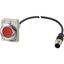 Illuminated pushbutton actuator, Flat, momentary, 1 NC, Cable (black) with M12A plug, 4 pole, 1 m, LED Red, red, Blank, 24 V AC/DC, Metal bezel thumbnail 3