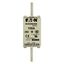 Fuse-link, LV, 100 A, AC 690 V, NH1, gL/gG, IEC, dual indicator, live gripping lugs thumbnail 13