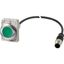 Illuminated pushbutton actuator, Flat, momentary, 1 N/O, Cable (black) with M12A plug, 4 pole, 1 m, LED green, green, Blank, 24 V AC/DC, Metal bezel thumbnail 3