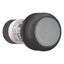 Illuminated pushbutton actuator, Flat, momentary, 1 N/O, Screw connection, LED white, White, Blank, 120 V AC, Bezel: black thumbnail 7