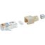 RJ45 plug Stewart (Stewart) Cat.5 GY thumbnail 2