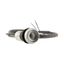 Pushbutton, Flat, momentary, 2 N/O, Cable (black) with non-terminated end, 4 pole, 3.5 m, Without button plate, Bezel: titanium thumbnail 16