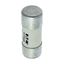 House service fuse-link, low voltage, 60 A, AC 415 V, BS system C type II, 23 x 57 mm, gL/gG, BS thumbnail 13