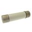 Oil fuse-link, medium voltage, 160 A, AC 3.6 kV, BS2692 F01, 254 x 63.5 mm, back-up, BS, IEC, ESI, with striker thumbnail 22