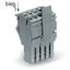 1-conductor female connector Push-in CAGE CLAMP® 4 mm² gray thumbnail 3