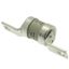 Fuse-link, low voltage, AC 415 V, BS88/A4, 31 x 110 mm, gM, BS thumbnail 4