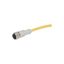 Connection cable, 4p, DC current, coupling M12 flat, open end, L=2m thumbnail 2