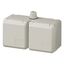 Cepex double receptacle 16A3p6h230V IP44 thumbnail 1