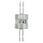 Utility fuse-link, LV, 315 A, AC 415 V, BS88/J, 38 x 110 mm, gL/gG, BS, 82mm fixing centres thumbnail 37