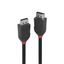 1m DisplayPort 1.2 Cable, Black Line DisplayPort male to male thumbnail 1