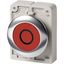 Pushbutton, RMQ-Titan, Flat, maintained, red, inscribed, Metal bezel thumbnail 8