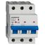 Miniature Circuit Breaker (MCB) AMPARO 10kA, D 25A, 3-pole thumbnail 1