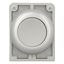 Pushbutton, RMQ-Titan, Flat, momentary, gray, Blank, Metal bezel thumbnail 10