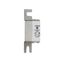 Fuse-link, high speed, 100 A, AC 690 V, DIN 000, 21 x 40 x 100 mm, aR, DIN, IEC, single indicator thumbnail 10