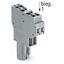 2-conductor female connector CAGE CLAMP® 4 mm² gray thumbnail 5